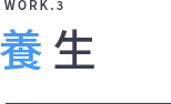 養生